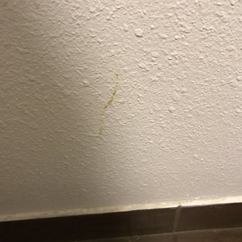 Motel 6 - Feces on the bathroom wall across from the toilet - Hotels Near Me - Ukiah, California