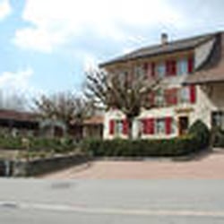 Restaurant Jägerstübli - Restaurant Jägerstübli mit Gartenwirtschaft und Kräutergarten.