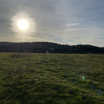 Byrne Preserve - The sun is setting on some horses. - Hiking Near Me - Los Altos Hills, California Byrne Preserve - The sun is setting on some horses. - Hiking Near Me - Los Altos Hills, California