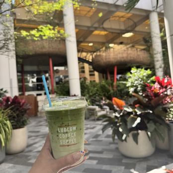 Ludlow Coffee Supply - Matcha - Coffee & Tea Near Me - New York, New York Ludlow Coffee Supply - Matcha - Coffee & Tea Near Me - New York, New York