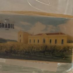 Quinta do Gradil - Sociedade Vitivinícola - Espresso and cookie to start the experience