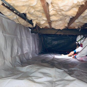 Attic Crew - Pest Control Near Me - Everett, Washington Attic Crew - Pest Control Near Me - Everett, Washington