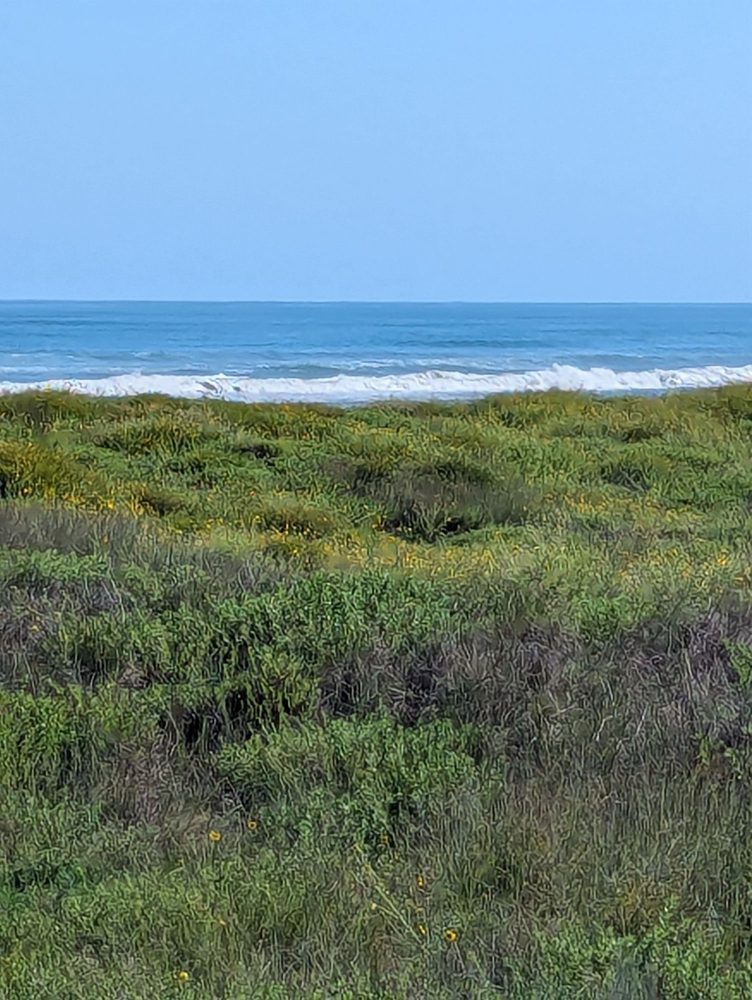 Padre Island National Seashore