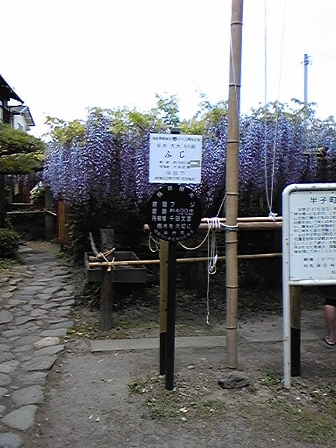 Shiheimachinofuji Chidatei