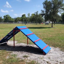 Pooch Pines Dog Park - Dog area