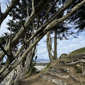 Grandview Park - Parks Near Me - San Francisco, California