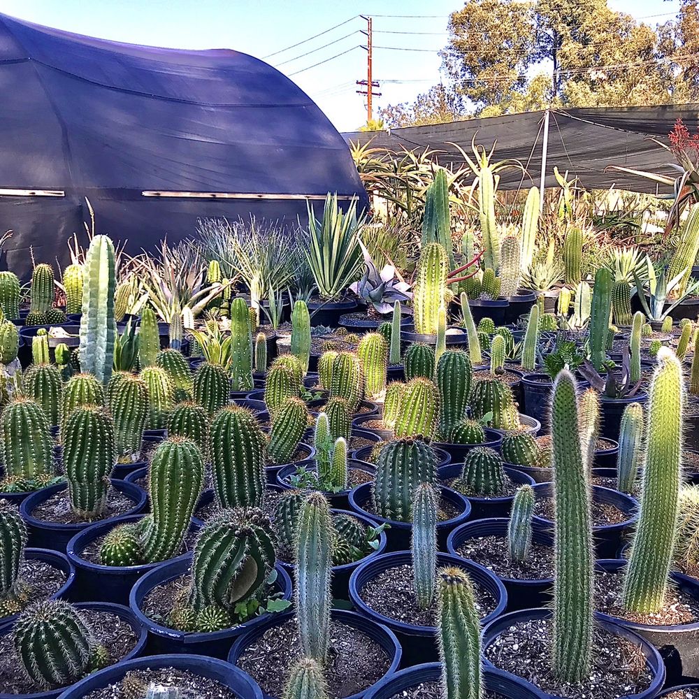 Green Solutions Nursery - Nurseries & Gardening Near Me - Somis, California Green Solutions Nursery - Nurseries & Gardening Near Me - Somis, California