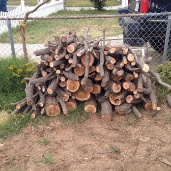 Tavite's Tree Service - They piled the wood up that I wanted to keep in a nice stack. - Tree Services Near Me