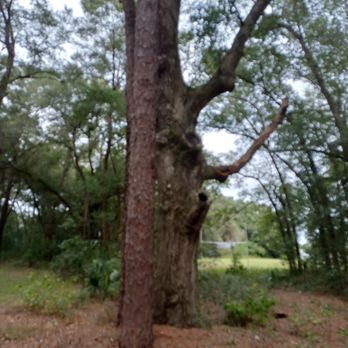 Jervey Gantt Park - Parks Near Me - Ocala, Florida