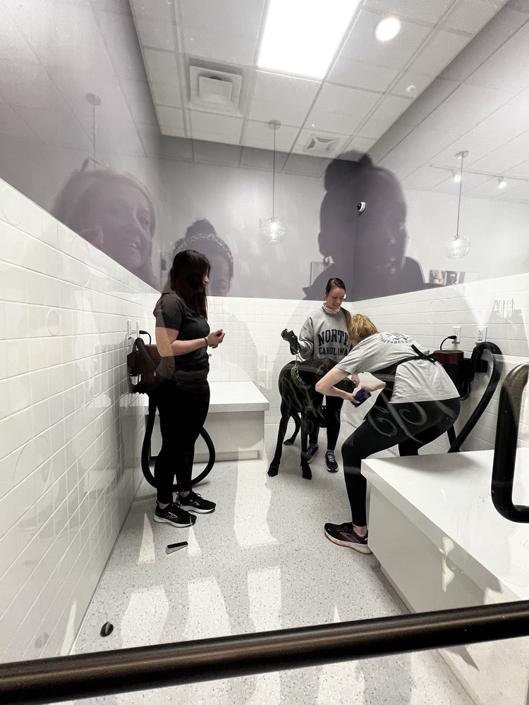 BUBBLY PAWS 24 Photos 141 New Bern St, Charlotte, North Carolina Pet Groomers Phone