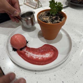 Spot Dessert Bar - Desserts Near Me - Cherry Hill, New Jersey Spot Dessert Bar - Desserts Near Me - Cherry Hill, New Jersey