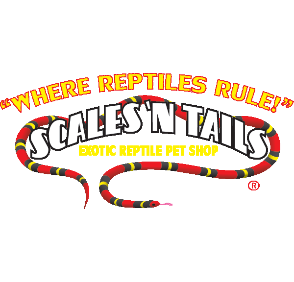 Scales ‘N Tails North Las Vegas Reptile Shops 4444 W Craig Rd