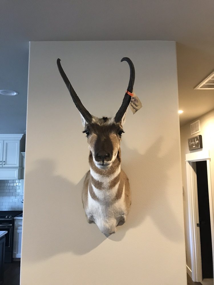 DEER CREEK TAXIDERMY Updated September 2024 149 Main, Hulett