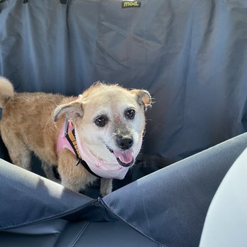 Baxters Pet Grooming - Pet Groomers Near Me - Lancaster, California Baxters Pet Grooming - Pet Groomers Near Me - Lancaster, California