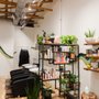 Photo of The Stargazer Salon