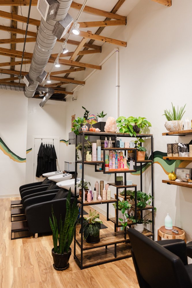 The Stargazer Salon Image