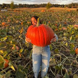Scholls Ferry Farm - Look what Maddy found in the Scholls Ferry Farm Pumpkin Patch