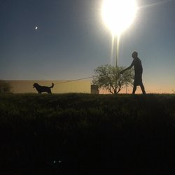 Wagging Tails Happy Feet - Night time walks are so peaceful!