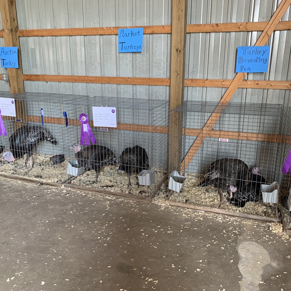 Isanti County Fairgrounds - Turkeyyyyyyssssss - Amusement Parks Near Me - Cambridge, Minnesota Isanti County Fairgrounds - Turkeyyyyyyssssss - Amusement Parks Near Me - Cambridge, Minnesota