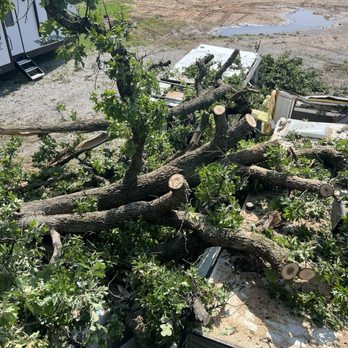 Hendrixson Tree Service - Tree across multiple travel trailers - Tree Services Near Me Hendrixson Tree Service - Tree across multiple travel trailers - Tree Services Near Me