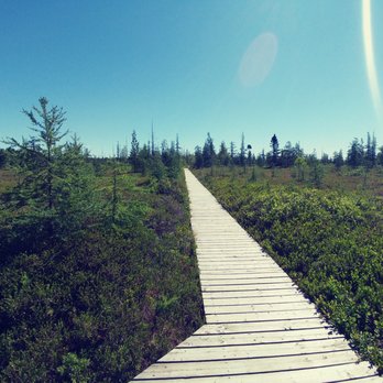 Mer Bleue bog - Hiking Near Me - Ottawa, Ontario