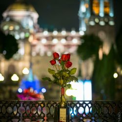 Nevados Restaurante & Bar ... Desde 1921 - Noche Romantica en un Balcon