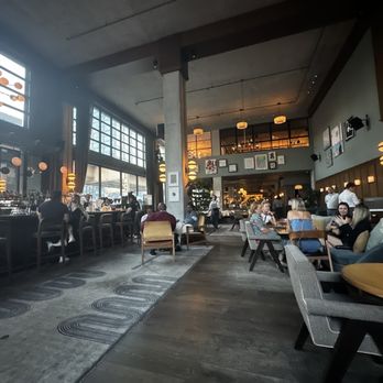 Hotel Zachary - Bar - Hotels Near Me - Chicago, Illinois Hotel Zachary - Bar - Hotels Near Me - Chicago, Illinois