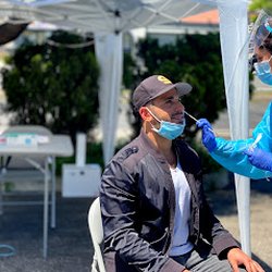 QuickMed Testing