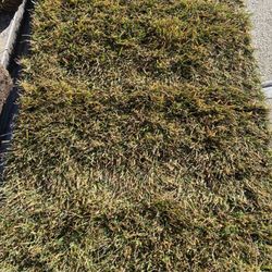 R E Landscaping & Construction