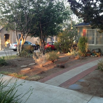 Salazar Landscape - Before - Landscaping Near Me Salazar Landscape - Before - Landscaping Near Me