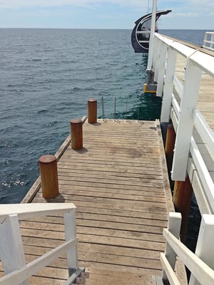 Busselton Jetty by null