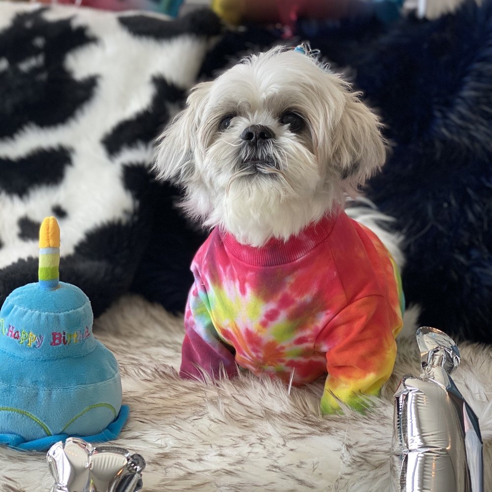 Love Thy Beast - Tie-dye t-shirt! - Pet Stores Near Me - Brooklyn, New York Love Thy Beast - Tie-dye t-shirt! - Pet Stores Near Me - Brooklyn, New York