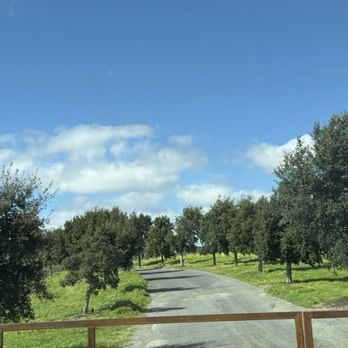 Hudson Napa Valley - Gate to property - Wine Tours Near Me - Napa, California Hudson Napa Valley - Gate to property - Wine Tours Near Me - Napa, California