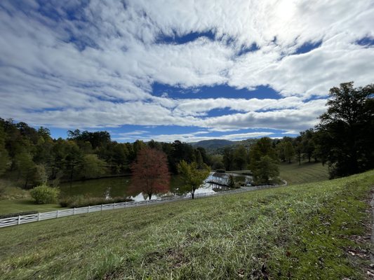 Blackberry Farm by null