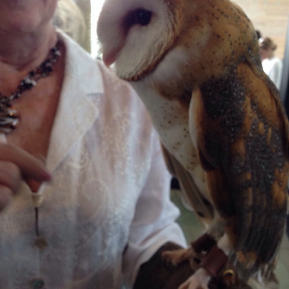 Trinity River Audubon Center - Resident owl visited the event - super soft to the touch :) - Parks Near Me - Dallas, Texas Trinity River Audubon Center - Resident owl visited the event - super soft to the touch :) - Parks Near Me - Dallas, Texas