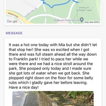Paws To Consider - Detailed report provided by dog walker - Dog Walkers Near Me - Jamaica Plain, Massachusetts Paws To Consider - Detailed report provided by dog walker - Dog Walkers Near Me - Jamaica Plain, Massachusetts