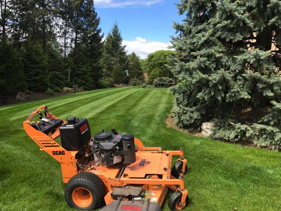 Elite Lawn Solutions - veterans service organization in Taylor Creek, OH