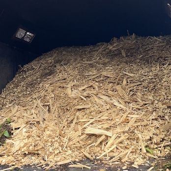 Oak Grove Tree Care - Shredded pine - Tree Services Near Me Oak Grove Tree Care - Shredded pine - Tree Services Near Me