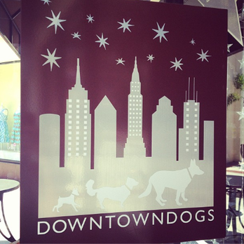 Downtown Dogs - Pet Stores Near Me - Tampa, Florida Downtown Dogs - Pet Stores Near Me - Tampa, Florida