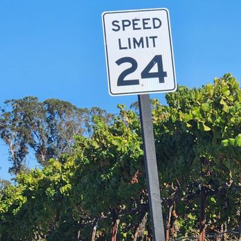 Bear at Stanly Ranch - I've never seen a speed limit of 24. - New American Near Me - Napa, California Bear at Stanly Ranch - I've never seen a speed limit of 24. - New American Near Me - Napa, California