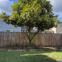 Roberts Lawn & Home Care - Trimmed low hanging branches