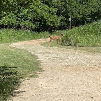 MARTIN PARK NATURE CENTER - Updated January 2026 - 198 Photos & 59