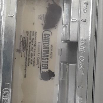 Extra Space Storage - There are a lot more where this  critter one came from.  My unit's full of S***. I need to stack blankets over boxes so they won't chew up. - Self Storage Near Me - Berkeley, California
