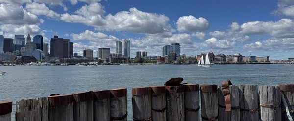 The Tall Ship Boston by null