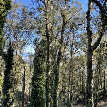 Sweeney Ridge - Parks Near Me - San Bruno, California