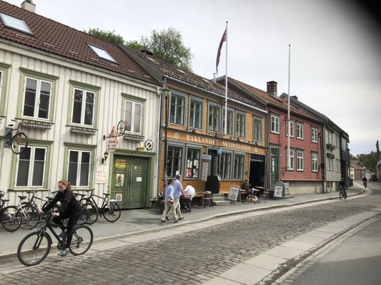 Baklandet Skydsstation by null