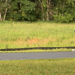 Oregon Public Library - Beautiful nature views and deer! You can also see the story book walk along the path.