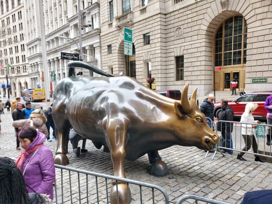 Charging Bull by null