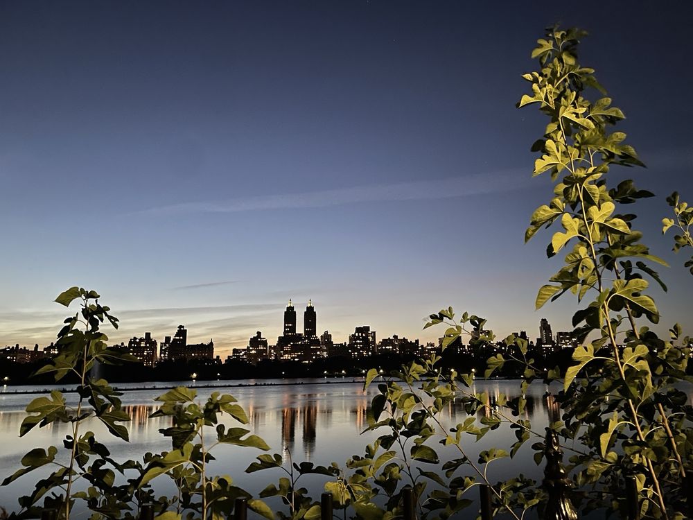 Central Park