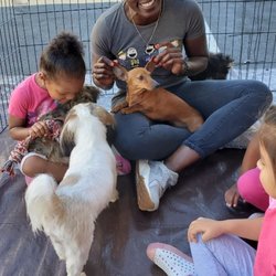 Puppy Party